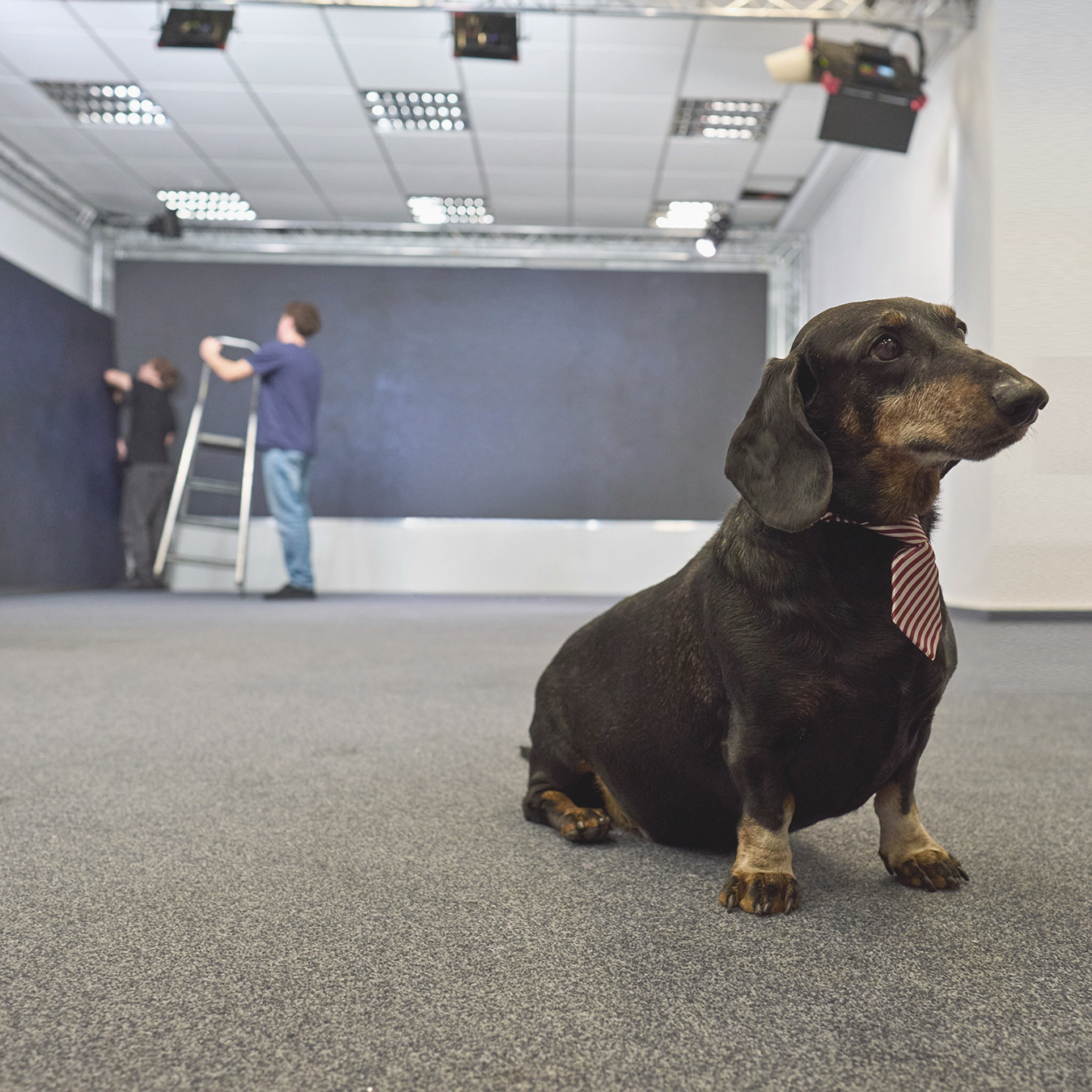 galerie-event-flaeche-herr-balu